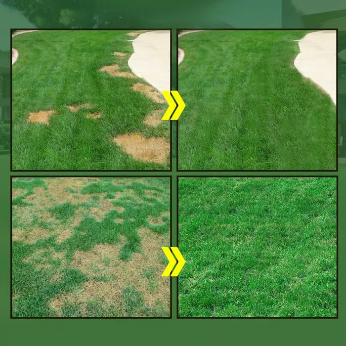 🔥Over 100,000 Boxes sold🔥Hydro Seeding Lawn Solution(Get a Thicker,Greener Lawn in Just a few Days)