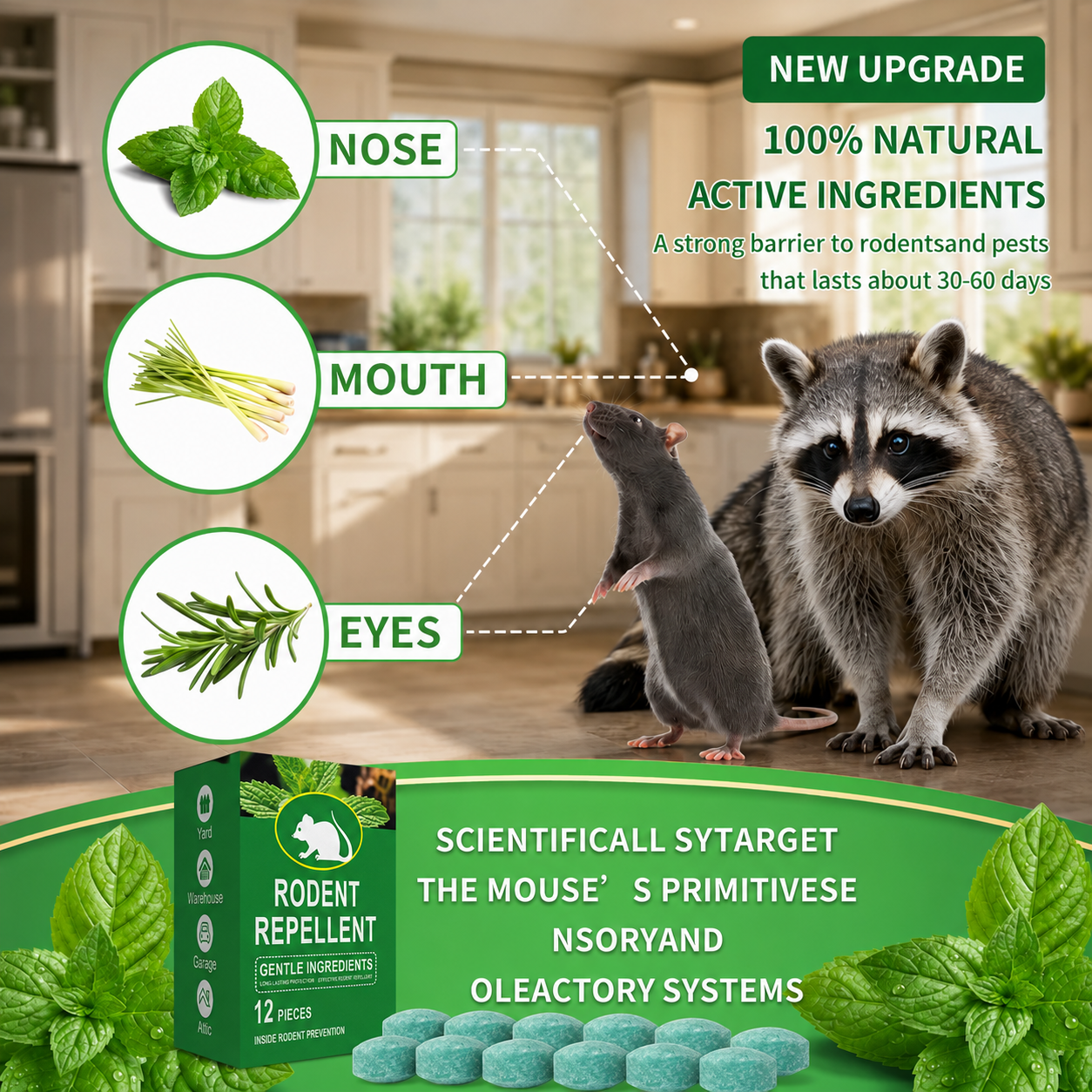 🔥LAST DAY 50% OFF🔥🌿Natural Peppermint Rodent Repellent Balls (12 Pack) 🚫Keep Rats, Mice & Pests Away Safely✅