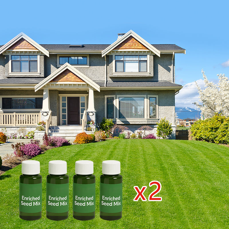 🔥Over 100,000 Boxes sold🔥Hydro Seeding Lawn Solution(Get a Thicker,Greener Lawn in Just a few Days)